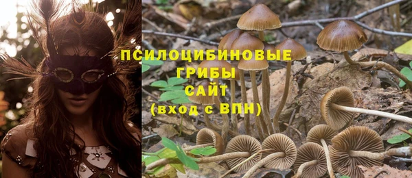 круглые Аша